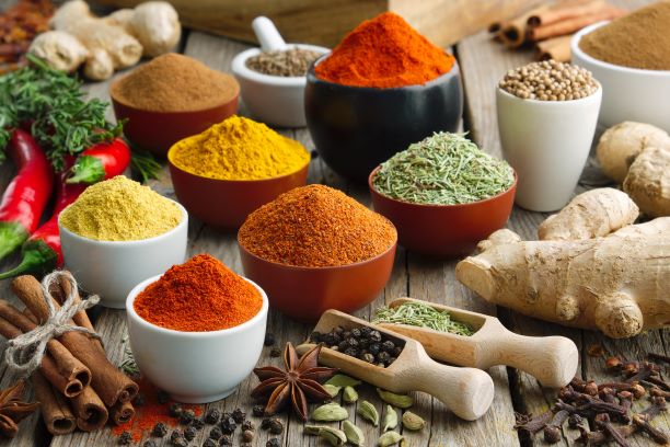 authenic indian food