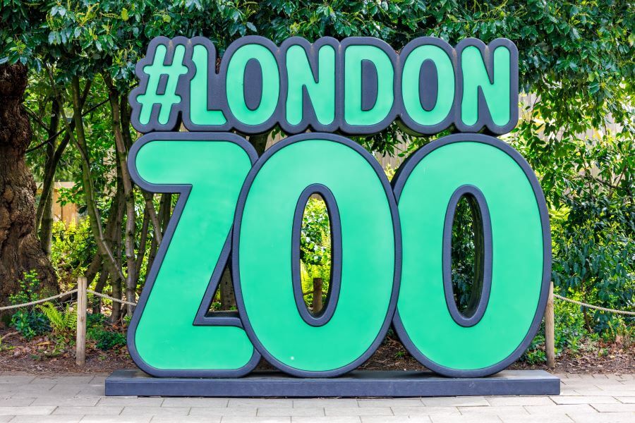 A Londoners Guide on How to Spend a Day in London 4 London Zoo
